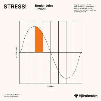 Timmar by Broder John