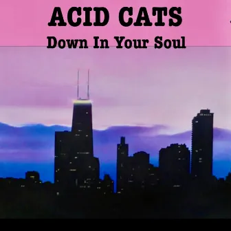 Down in Your Soul by Acid Cats