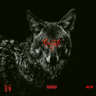 Coyote by Amp Kidd B