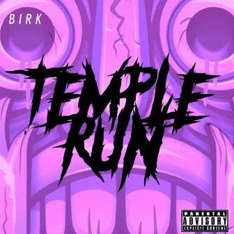 Temple Run by Birk