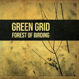 Forest of Birding by Green Grid