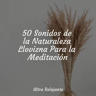 50 Sonidos de la Naturaleza Llovizna Para la Meditación by Meditar Profundamente