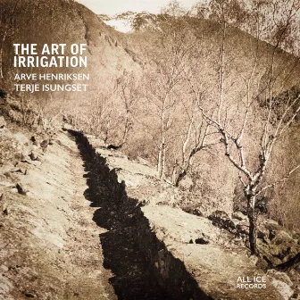 The Art of Irrigation by Terje Isungset