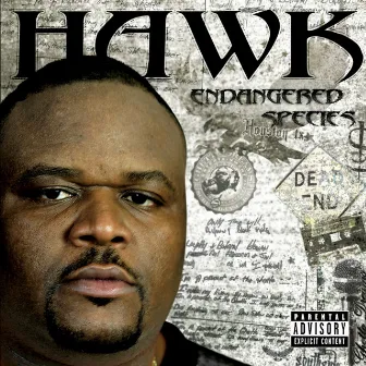 Endangered Species by Hawk