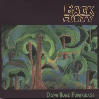 Down Home Funkgrass by Back Forty