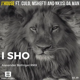 I SHO (Alexander Bollinger RMX) by Alexander Bollinger