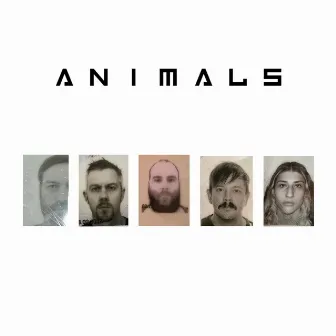 Animals by Diamondback Kid