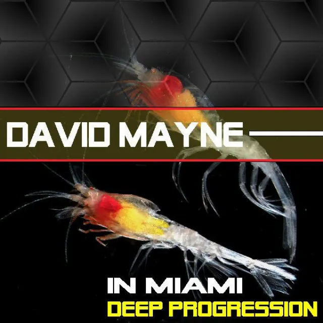 David Mayne