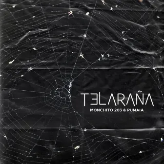 Telaraña by Pumaia