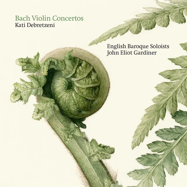 Violin Concerto in A Minor, Bwv 1041: I. Allegro