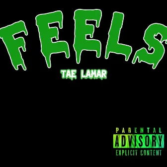 Feels by Tae Lamar