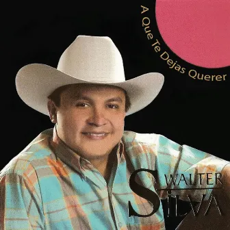 A Que Te Dejas Querer by Walter Silva