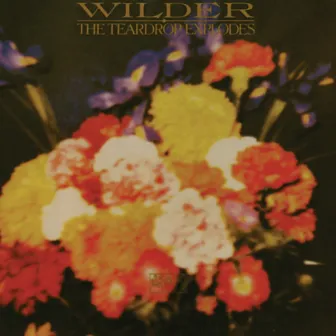 Wilder by The Teardrop Explodes