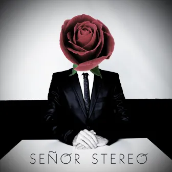 Unintentional by Señor Stereo