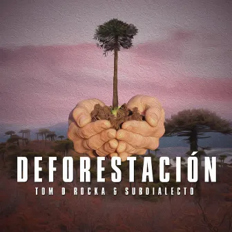 Deforestación by Tom D. Rocka