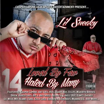 Loved by Few Hated by Many by Lil Sneaky