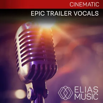 Epic Trailer Vocals by Kavin Hoo