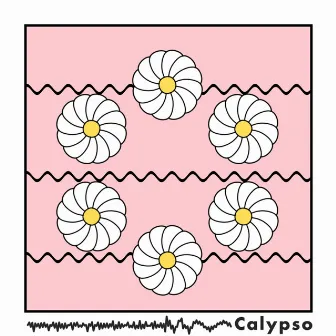 Calypso by Jackson Lundy