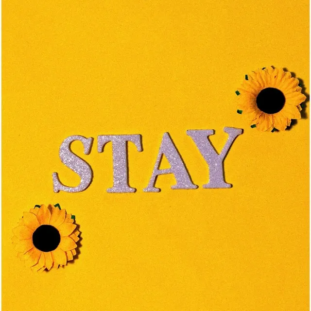 stay