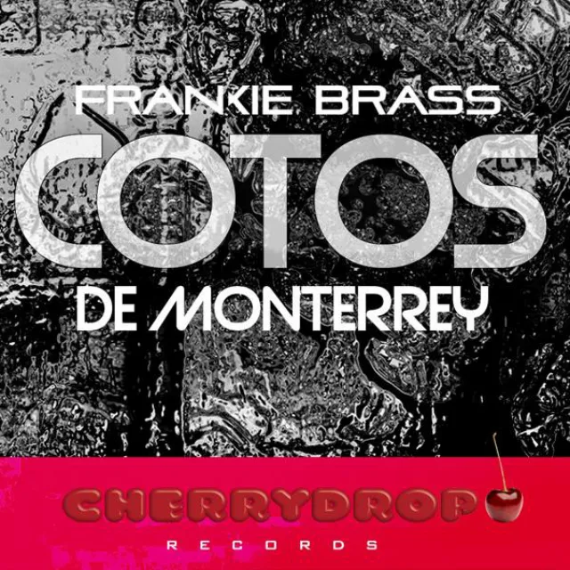 Cotos De Monterrey - Original Mix