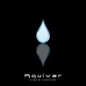 Liquid Curation by Aquiver