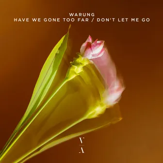 Have We Gone Too Far / Don't Let Me Go by Warung