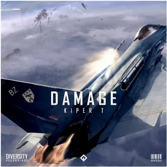 Damage by Kiper T