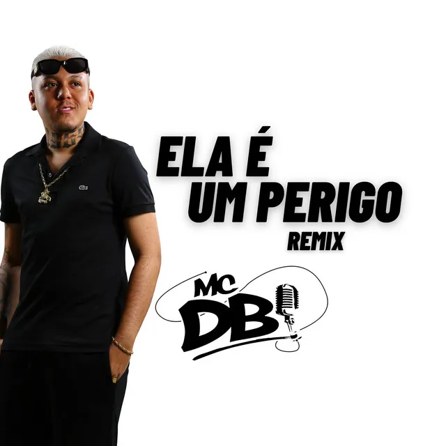 Ela e um Perigo (Remix)