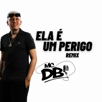 Ela e um Perigo (Remix) by PL JUNIOR