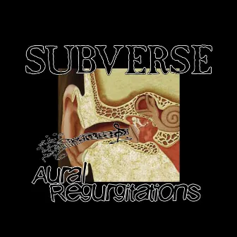 Aural Regurgitations by Subverse