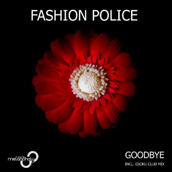 Goodbye by Fashion Police