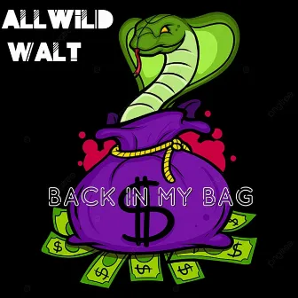 Back In My Bag by Allwild Walt