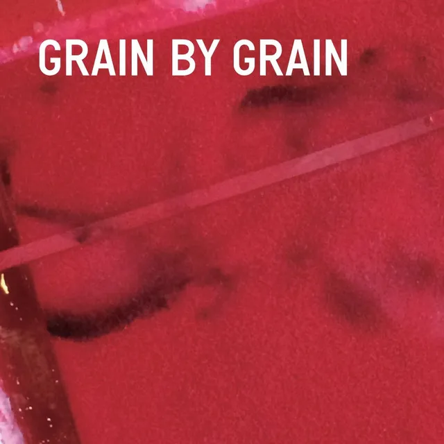 Grain by Grain