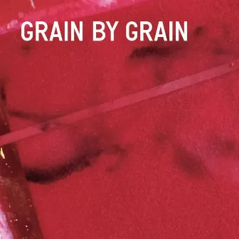 Grain by Grain by Arto Lindsay