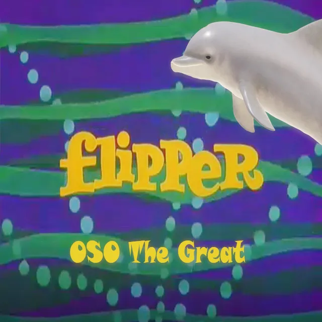 Flipper