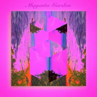 Magenta Garden by Phlox Breeze