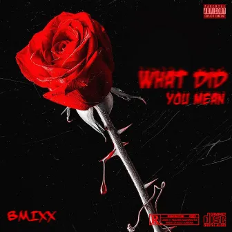 What Did You Mean by Bmixx KE