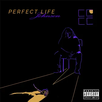 Perfect Life by D.P. Johnson