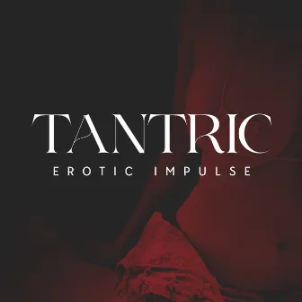 Tantric Erotic Impulse: Couple Evening Pleasures, Wild Love by Intimate Music Collection