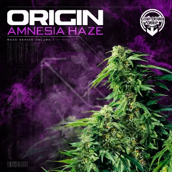 Amnesia Haze by Origin