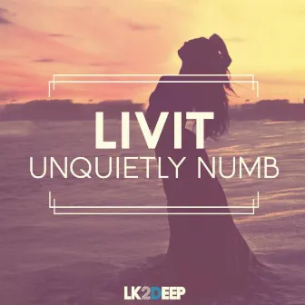 Unquietly Numb by LIVIT