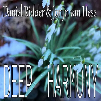 Deep Harmony (Euphonium & Tuba Ensemble) by Daniel Ridder