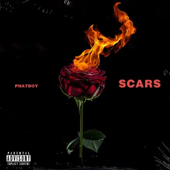 Scars by Phatboy