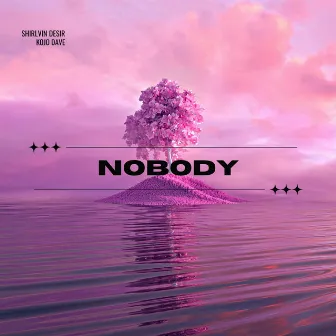 Nobody by Shirlvin Desir