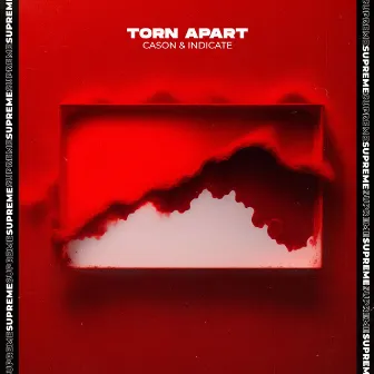 Torn Apart by Indicate