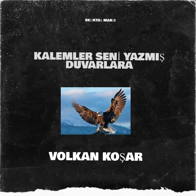 Kalemler seni yazmış duvarlara