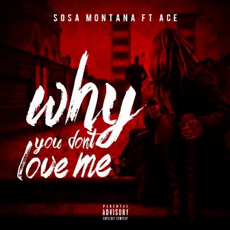 Why You Don't Love Me by Sosa Montana