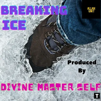 Breaking Ice by Divine Master Self