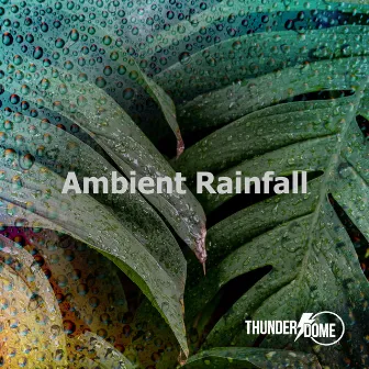 Ambient Rainfall by Thunder Dome