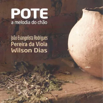 Pote - a Melodia do Chão by Wilson Dias